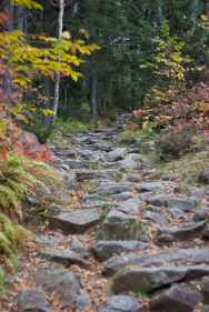 rocks-trees-hiking-trail.jpg